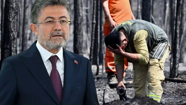 4 ilde yangınlar kontrol altına alındı, Bursa’da alevlerle mücadele devam ediyor