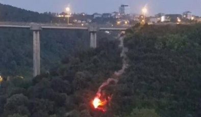 Beykoz’da ormanı yakan kişi tutuklandı, ifadesinde bunları anlattı