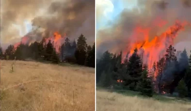 Bu kez Çankırı’dan alevler yükseldi! Rüzgarın etkisiyle yayılıyor