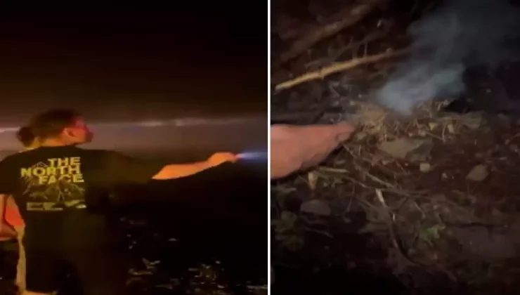 Bursa’da ormanı yakmaya çalışan şüpheliye suçüstü