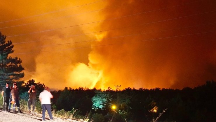 Çankırı Valiliği’den orman yangınlarına karşı önlem: Yasaklar açıklandı